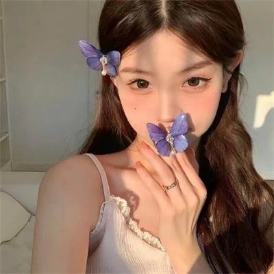 叶问外传：张天志国语